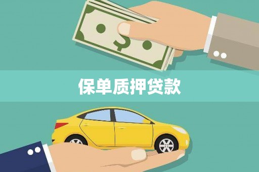 张家口保单质押贷款