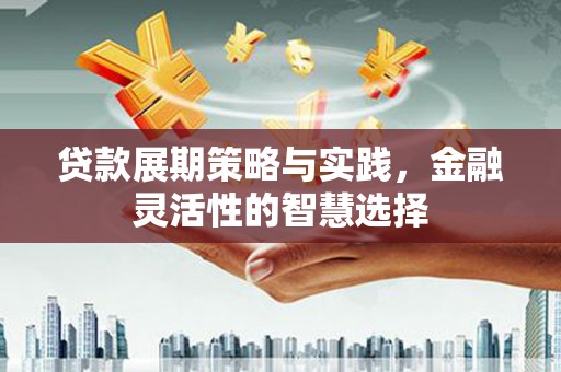 张家口贷款展期策略与实践，金融灵活性的智慧选择